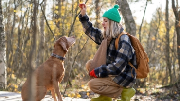 Woman trainer teaching purebred hunting dog commands and obedience, holding treat in hand in forest